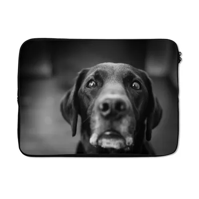 Produktbild von MuchoWow® Laptop Hülle 14 ZollTierprofil Labrador Hund in schwarz und weiß Laptoptasche - Laptoptasche - Stoßsicher - Schutzhaube
