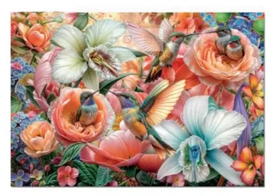 Image de Puzzle Educa 500 pièces