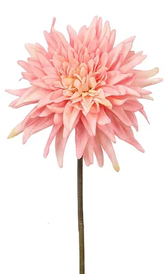 Immagine prodotto di Clayre & Eef, fiore artificiale rosa, plastica