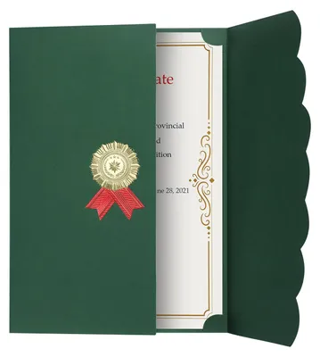 Image de Porte-documents A4 vert doré
