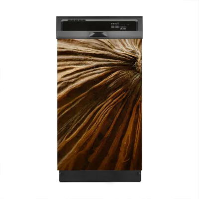 Produktbild von Magnete Dekorative 45x70 cm Küche Magnetmatte Spülmaschine - Kokosnuss Nahaufnahme