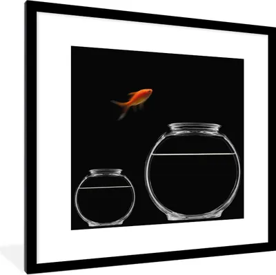 Produktbild von MuchoWow® Gerahmtes Poster Goldfisch - Fischglas - Schwarz 40x40 cm - Poster mit Schwarzem Bilderrahmen Wandposter Rahmen Foto Bilder - Poster - Plakat im Rahmen