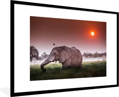 Produktbild von MuchoWow® MuchoWow® Gerahmtes Poster Elefant - Gras - Sonne - Tiere 90x60 cm - Poster mit zchwarzem Bilderrahmen - Wanddekoration - Fotos