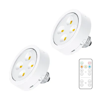 Two white LED light bulbs and a remote control are displayed against a white background.