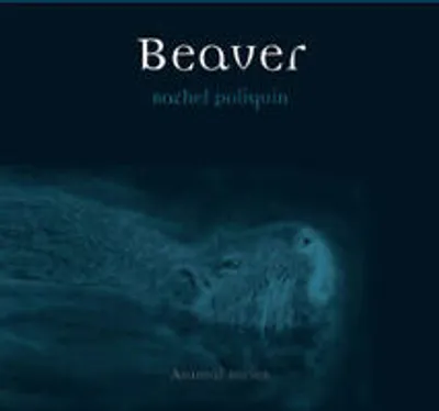 Image de Beaver