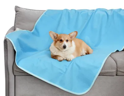Image de Couverture imperméable pour chiens, 150x130 cm