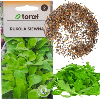Produktbild von Wildwachsende Rucola-Samen Gemüsesalat Würzig 1G