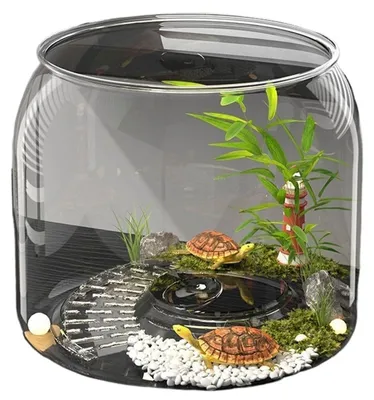 Zdjęcie produktu dla Pojemnik na żółwie do akwariów i terrariów