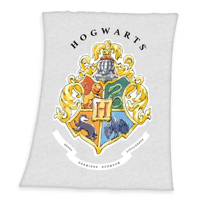 Obrázok produktu pre Harry Potter - Fleecová deka - 130 x 160 cm