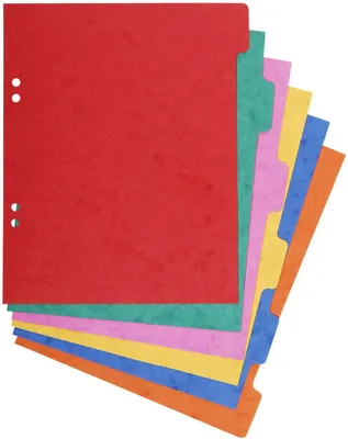 Obrázok produktu pre EXACOMPTA 406E EXACOMPTA Karton-Register, 220 x 170 mm, 6-teilig