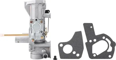 Produktbild von Vergaser für Briggs & Stratton 498298 130202 112202 112232 134202 137202 5 PS