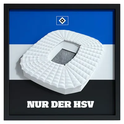 Produktbild von HSV Fanbox