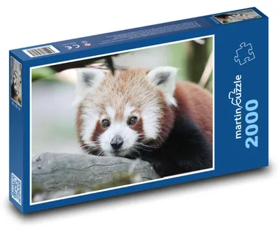 Obrázek produktu pro martinpuzzle - Puzzle 2000 - Panda červená