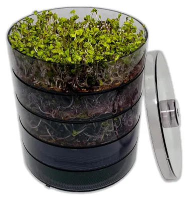 Produktbild von Keimsprossenbox Set mit vier Etagen als Sprossen Keimgerät: Sprossenanzucht und Microgreens Anzuchtschalen