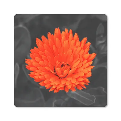 Produktbild von MuchoWow® Mauspad Mousepad Blumen - Orange - Schwarz - Weiß 30x30 cm - Mousepads - Maus Mat - Pad - Mausunterlage - Gaming