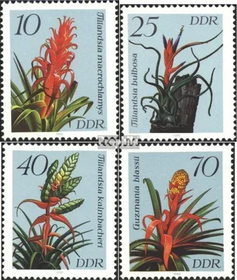 Produktbild von Briefmarken DDR 1988 Mi 3149-3152 (kompl.Ausgabe) postfrisch Bromelien