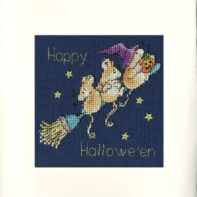 Produktbild von Bothy Threads Grußkarte Kreuzstich-Set "Sternenklare Nacht", 10x10cm, XGC17, Zählmuster