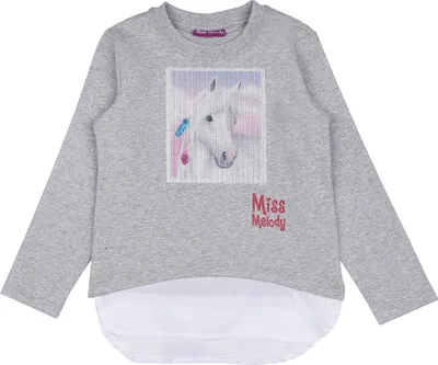 Produktbild von Miss Melody Mädchen Sweatshirt Grau, Gr. 104 – gemütliches Sweatshirt für kleine Pferdefans