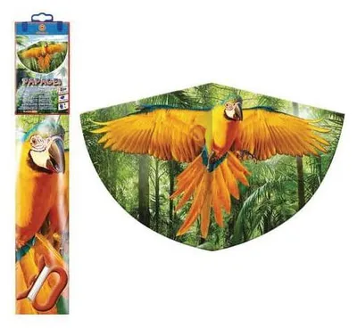 Immagine prodotto di Pappagallo drago 75x48cm GÜNTHER 1179 foil