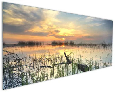 Produktbild von Wallario Küchenrückwand aus Glas, Größe: 125 x 50 cm, Motiv: Schilf am Abend - Sonnenuntergang über der Seelandschaft | Spritzschutz | abwischbar | pflegeleicht | in