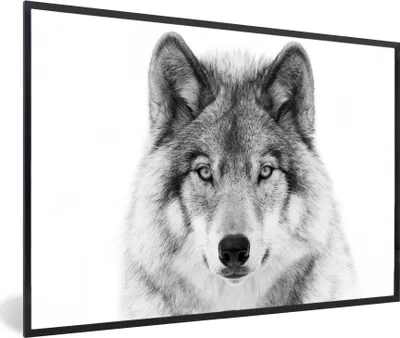 Produktbild von MuchoWow® Gerahmtes Poster Wolf - Tiere - Porträt - Weiß 60x40 cm - Poster mit Schwarzem Bilderrahmen Wandposter Rahmen Foto Bilder - Printing - Wanddeko Schlafzimmer