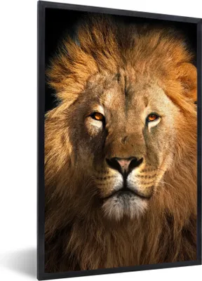 Produktbild von MuchoWow® Gerahmtes Poster Löwe - Tiere - Schwarz - Hell - Braun - Porträt 60x90 cm - Poster mit Schwarzem Bilderrahmen Wandposter Rahmen Foto Bilder - Kunst