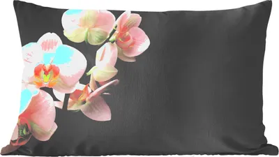 Produktbild von MuchoWow® Zierkissen Sofakissen Wohnzimmer Dekokissen 60x40 cm Orchidee - Blumen - Rosa - Stilleben - Flora - Kopfkissen - Polster mit Foto