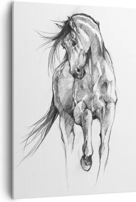 Produktbild von Bild auf Leinwand - Leinwandbild - Einteilig - Pferd Galopp Tier - 50x70cm - Wand Bild - Wanddeko - Wandbilder - Leinwanddruck - Kunstdruck - Wanddekoration - Leinwand bilder - Wandbild - PA50x70-5080