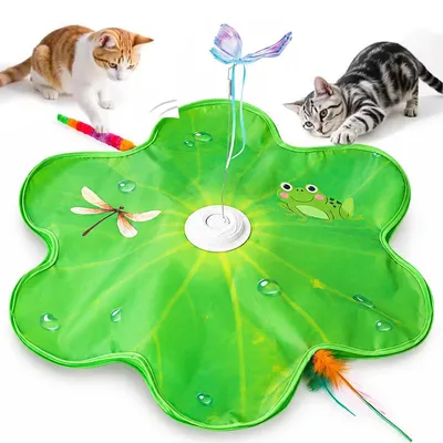 Produktbild von Automatisches Katzenspielzeug, interaktives Jagdspielzeug mit 360° Schmetterling und Federangel, 3 Spielmodi, USB-C, für Wohnungskatzen