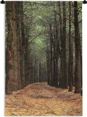 Produktbild von MuchoWow® Wandteppich Wandbehang Herbst - Dekoration - Wald 90x135 cm Tapisserie Dekoration Wandtuch - Baumwolle - Wandskulptur
