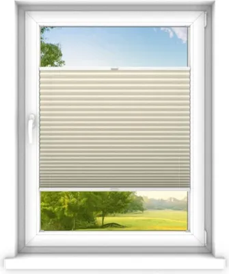 A window with a beige-creme pleated blind partially covering the view of a green landscape with trees and a blue sky.