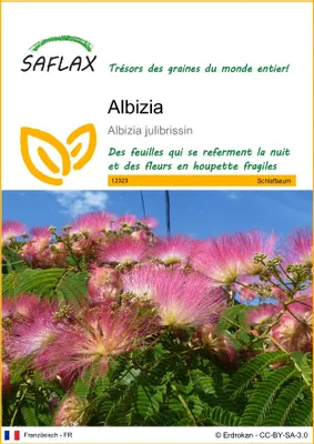 Image de SAFLAX - Albizia - 50 graines - Albizia