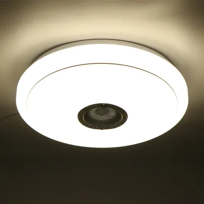 Immagine prodotto di 2.plafoniera LED Bluetooth a 4 GHz 256 altoparlanti musicali RGB lampada dimmerabile + telecomando - Telecomando a infrarossi