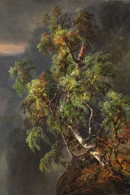 Zdjęcie produktu dla Johan Christian Dahl Art Print Obraz - Brzoza podczas burzy, 1849 (120 x 80 cm)