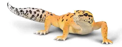 Produktbild von Collecta Gecko Leopard Sammelfigur L 30 cm - Tierfigur - Deko Figur