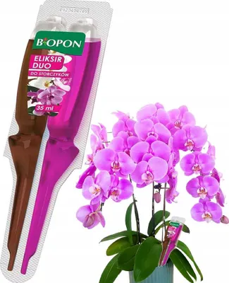 Produktbild von BOPON - DUO Elixier für Orchideen nährt und regeneriert 35ml - Disp - 1 Stk.