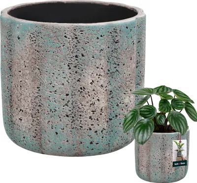 A large and a small ceramic pot with a plant.
