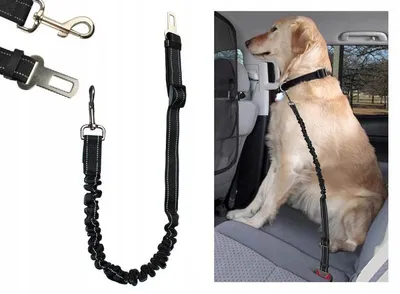 Produktbild von ISO Trade 6230 - Hundeleine mit Gurtschlosszunge, Hundegurt verstellbar 61-80cm, schwarz