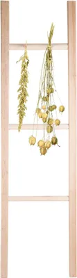 Obrázok produktu pre Pflanzen Kölle rebrík na sušenie kvetov a byliniek, prírodný, drevo, š 42 x v 144 cm