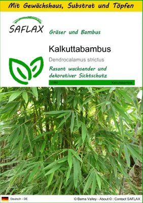 Produktbild von SAFLAX Anzucht Set - Kalkuttabambus - Dendrocalamus strictus - 50 Samen - Mit Mini-Gewächshaus, Anzuchtsubstrat und 2 Töpfen