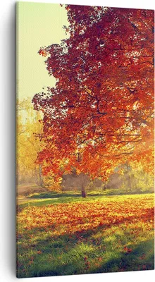 Produktbild von Bild auf Leinwand - Leinwandbild - Park Herbst Baum - 45x80cm - Wand Bild - Wanddeko - Wandbilder - Leinwanddruck - Bilder - Kunstdruck - Wanddekoration - Leinwand bilder - Wandkunst - PA45x80-3654