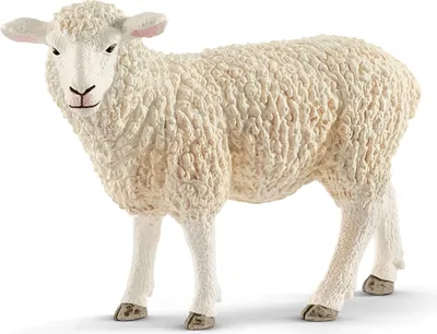Produktbild von Schleich Schaf, 13882