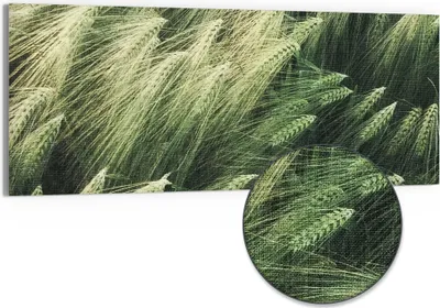 Produktbild von DEQORI Hybrid Leinwand Bild 150x60 cm 'Getreidefeldidylle' Wandbild Glas flach modern