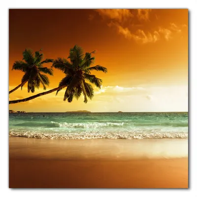Produktbild von Wallario selbstklebende Möbelfolie/ Tischdecke für Innen und Außen, Größe: 50 x 50 cm - Palmen am Sandstrand bei untergehender Sonne