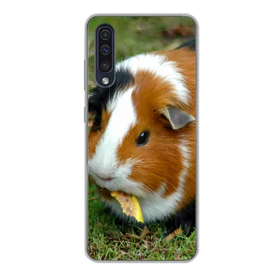Produktbild von MuchoWow® Handyhülle Schutzhülle Hülle für Samsung Galaxy A50 Meerschweinchen draußen Silikon Softcase Handy Hülle - Mobiltelefonhülle