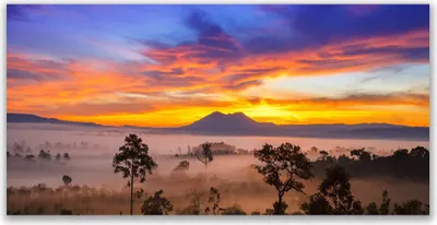 Produktbild von Tulup Leinwand-Bilder 120x60 Wandbild Canvas Kunstdruck Bäume Nebel Landschaft