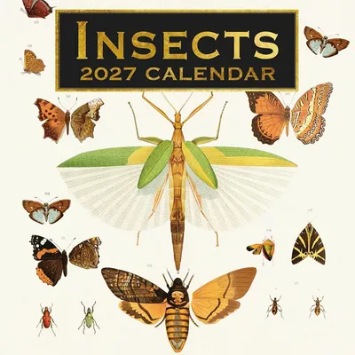 Productafbeelding van Wandkalender 2027. Insects.