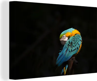 Obrázek produktu pro OneMillionCanvasses® Malba na plátně Nástěnná malba na plátně - Portrét ne - 150x100cm