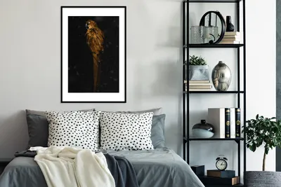 Produktbild von MuchoWow® MuchoWow® Gerahmtes Poster Vogel - Gold - Papagei 60x90 cm - Poster mit zchwarzem Bilderrahmen - Dekoration - Wandposter Wohnzimmer - Hochwertig