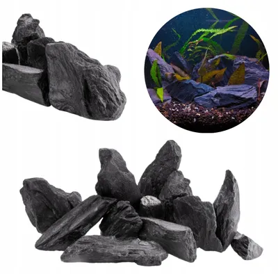 Produktbild von Aquarium Steine Schieferbaum Schwarz 15 kg Naturstein Deko für Aquarium, Aquascaping, Höhlen und Zierfische